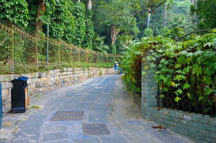 福建出臺(tái)園林綠化工程招標(biāo)新規(guī)，規(guī)范施工市場(chǎng)促高質(zhì)量發(fā)展