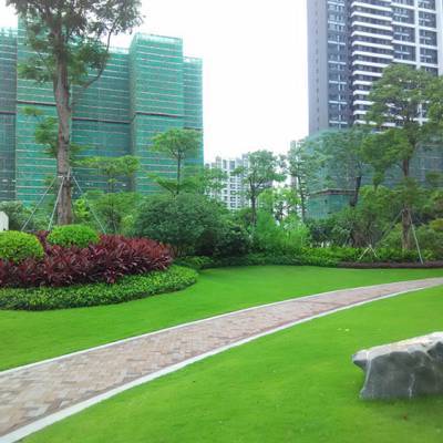 中山地產綠化園林施工價格解析 佛嶺景觀的專業視角