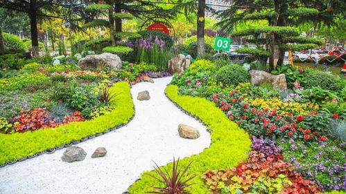 日照市第四屆園林綠化行業(yè)花藝環(huán)境設(shè)計(jì)師技能競(jìng)賽成功舉辦，助推園林綠化高質(zhì)量發(fā)展