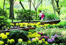 北京園林綠化局精準(zhǔn)部署第九屆園博會(huì)花卉布置，打造生態(tài)園林新標(biāo)桿